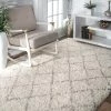 Coupon 👍 NuLOOM Moroccan Trellis Shag Rug, Ivory, 5'x8' 🎁