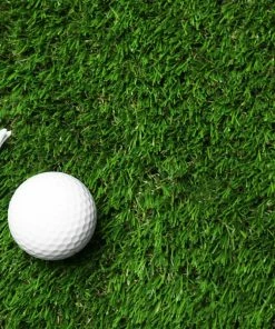 New 👍 Nance Industries Premium Grass Turf Rug, 5x7 🎁 -Cheap Rugs Store aed116e50d71334b 0836 w800 h800 b0 p0