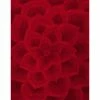 New 😀 NuLOOM Hand-Tufted Floral Transitions Area Rug, Red, 5'x8' 🧨
