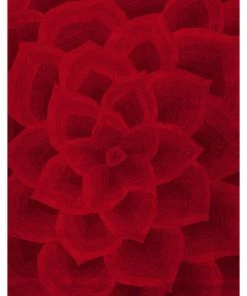 New ๐ NuLOOM Hand-Tufted Floral Transitions Area Rug, Red, 5'x8' ๐งจ